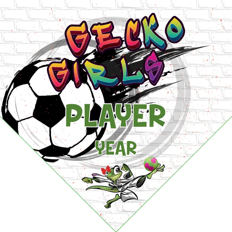 Gecko Girls Soccer Banner-soccer-banners-huntington-beach-picture