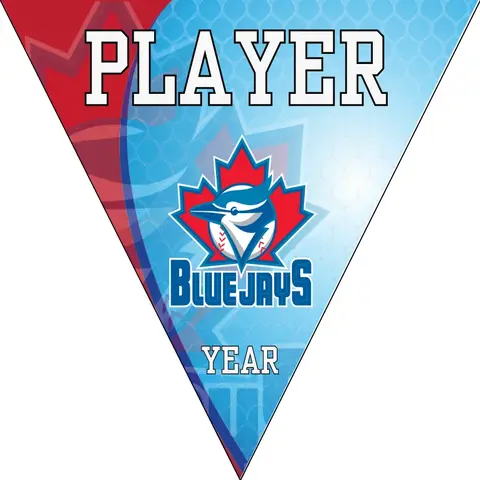 Blue Jays Baseball Banner-easy-baseball-banners-images