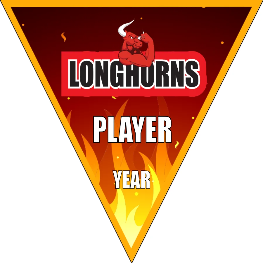 Longhorns Soccer Banner-soccer-banner-flags-picture