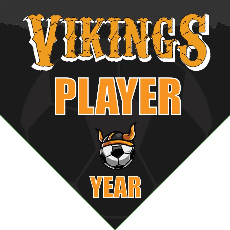 Vikings 3 Soccer Banner-soccer-banners-ideas-picture