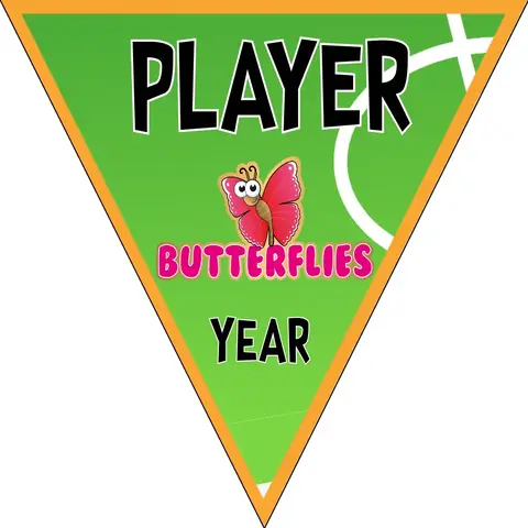 Butterflies Soccer Banner-ayso-soccer-banner-stand-picture
