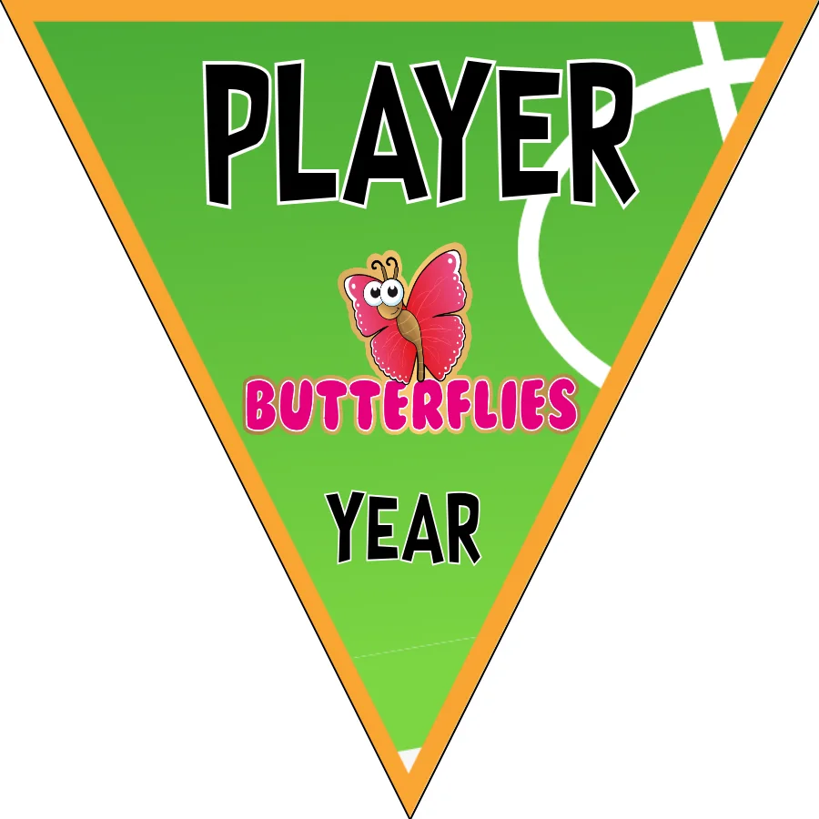 Butterflies Soccer Banner-ayso-soccer-banner-stand-picture