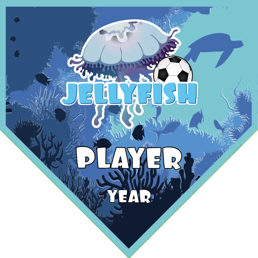 Jellyfish Soccer Banner-airbrush-soccer-banners-san-diego-picture
