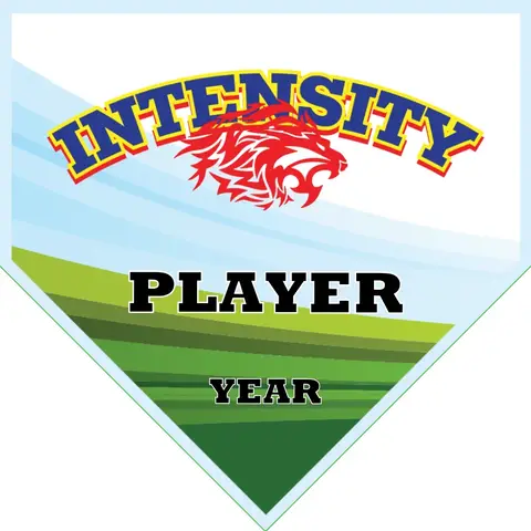 Intensity Soccer Banner-soccer-banners-rancho-cucamonga-picture