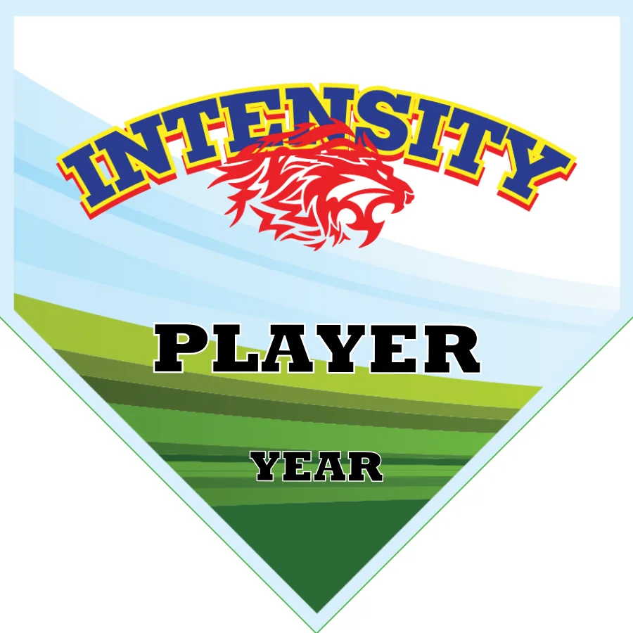 Intensity Soccer Banner-soccer-banners-rancho-cucamonga-picture