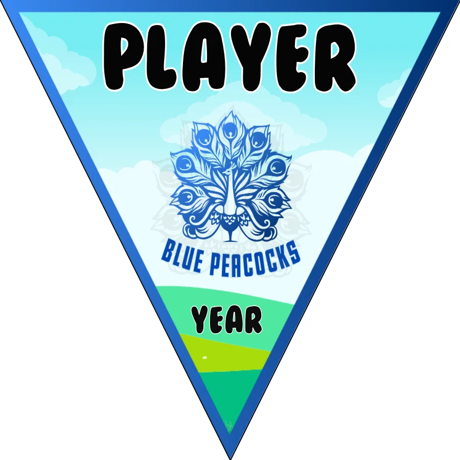 Blue Peacocks Soccer Banner-japanese-soccer-banner-picture