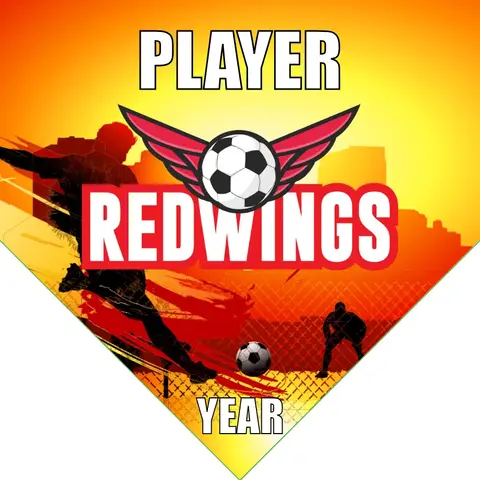 Redwing Banner-soccer-team-banner-picture