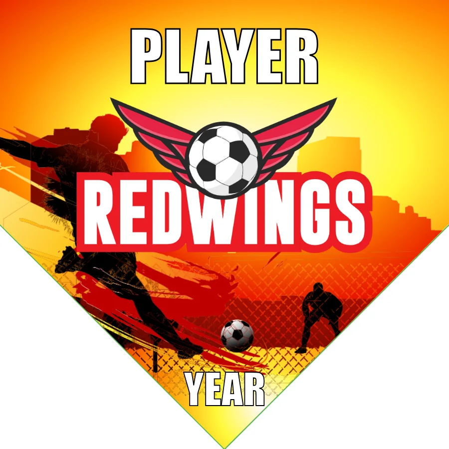 Redwing Banner-soccer-team-banner-picture
