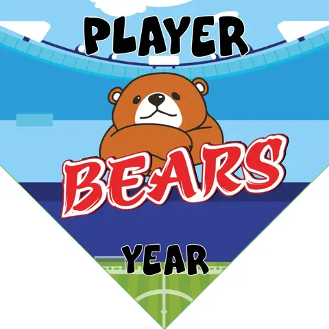 Bears Soccer Banner-banner-soccer-image