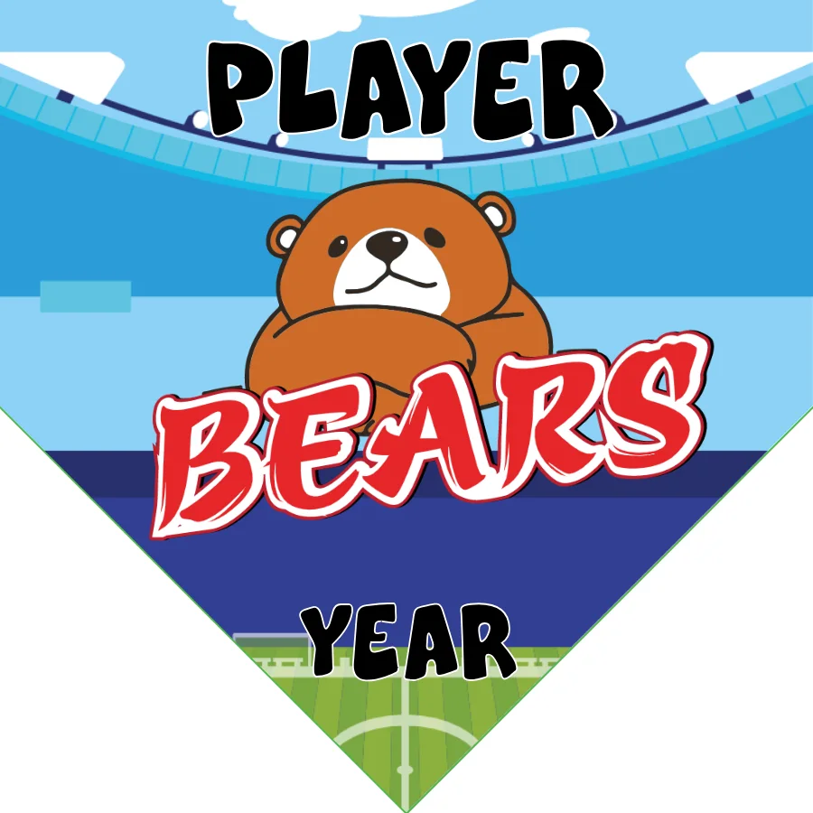 Bears Soccer Banner-banner-soccer-image