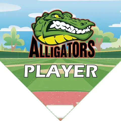 Alligators A Softball Banner-softball-team-picture-banners-picture