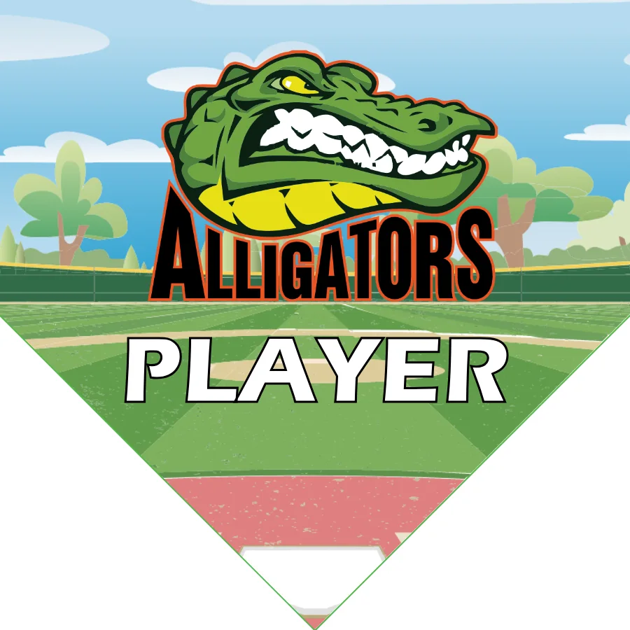Alligators A Softball Banner-softball-team-picture-banners-picture