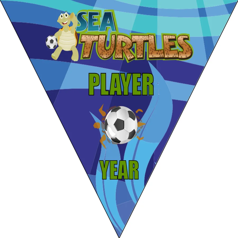 Turtles Sea Soccer Banner-soccer-party-banner-picture