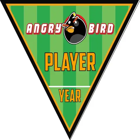 Angry Birds 1 Soccer Banner-banner-soccer-image