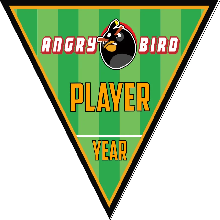 Angry Birds 1 Soccer Banner-banner-soccer-image