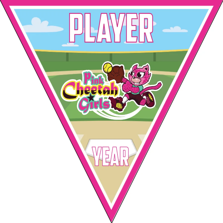 Pink Cheetah Girls-pink-blue-triangle-softball-banner-pictures-picture