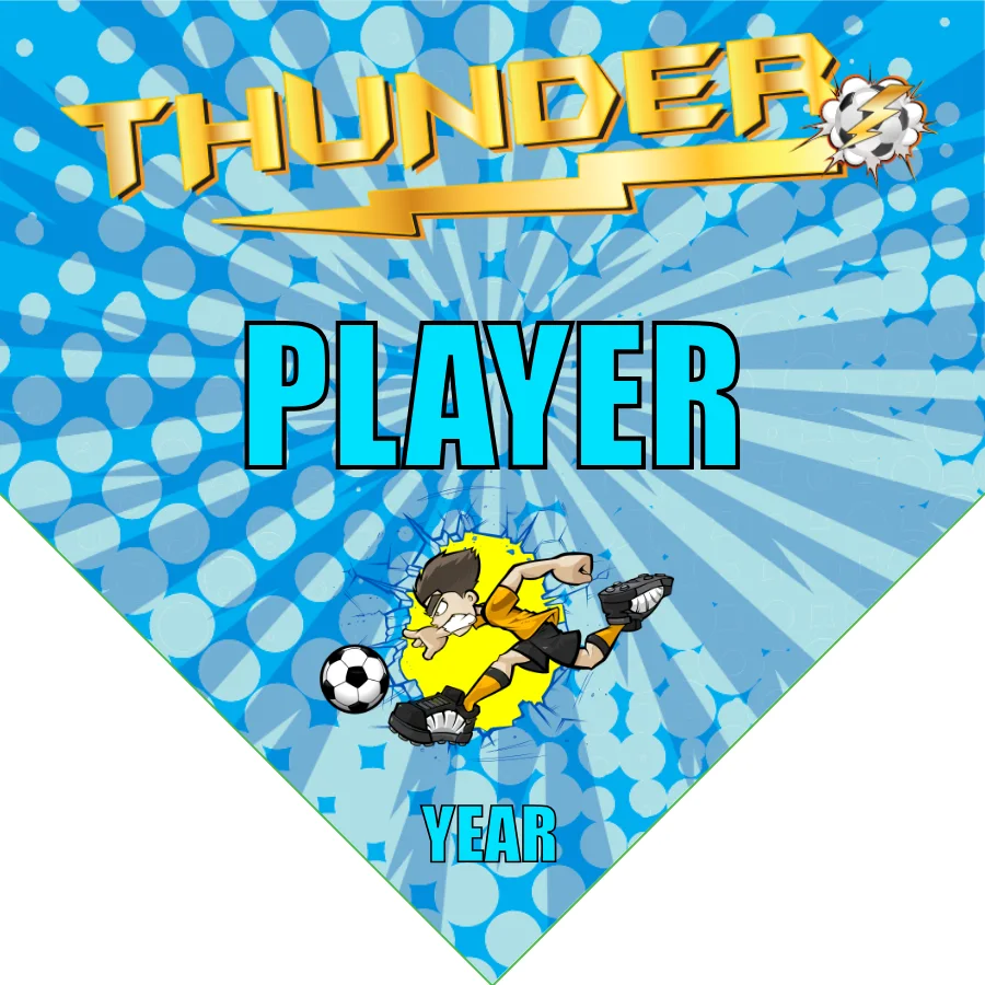 Thunder Soccer Banner-soccer-team-banners-picture
