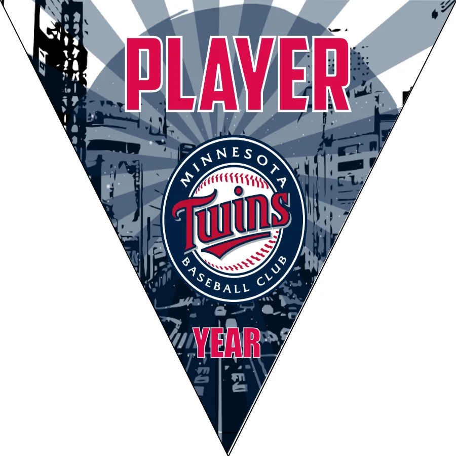Minnesota 2 Baseball Banner-free-baseball-banner-design-images