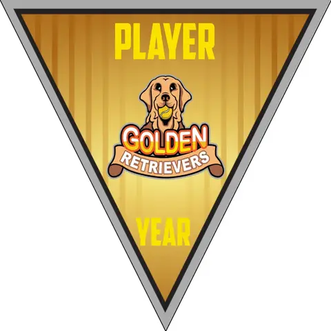 Golden Retrievers-silver-gold-triangle-softball-vinyl-banners-picture