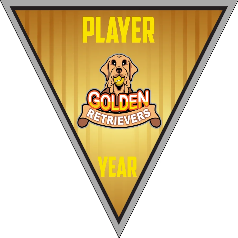 Golden Retrievers-silver-gold-triangle-softball-vinyl-banners-picture