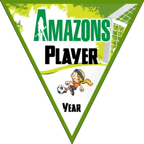 Amazons Soccer Banner-nike-soccer-banner-picture