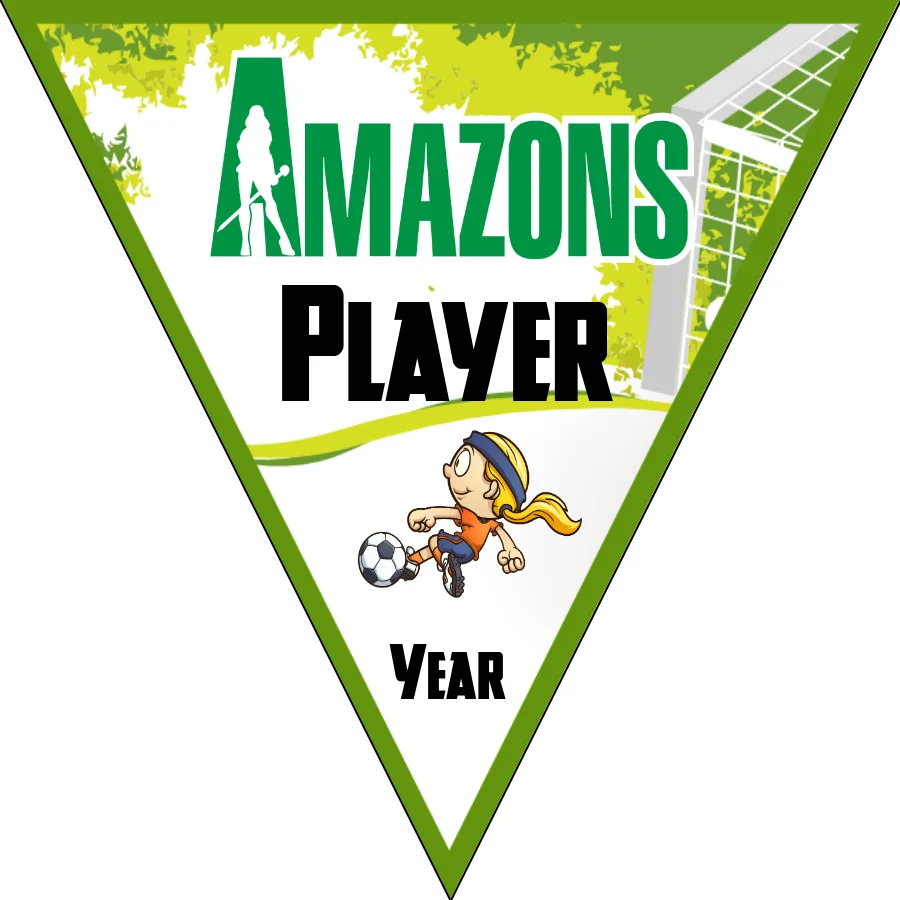 Amazons Soccer Banner-nike-soccer-banner-picture
