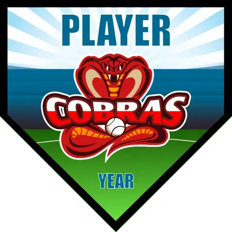 Cobras-red-blue-home-softball-banner-backgrounds-picture