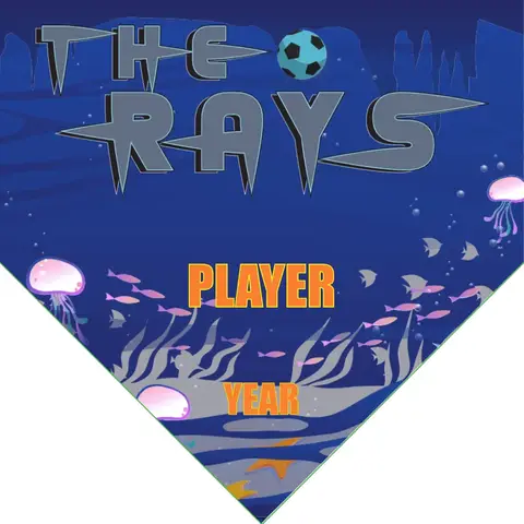 The rays Soccer Banner-soccer-team-banner-ideas-picture
