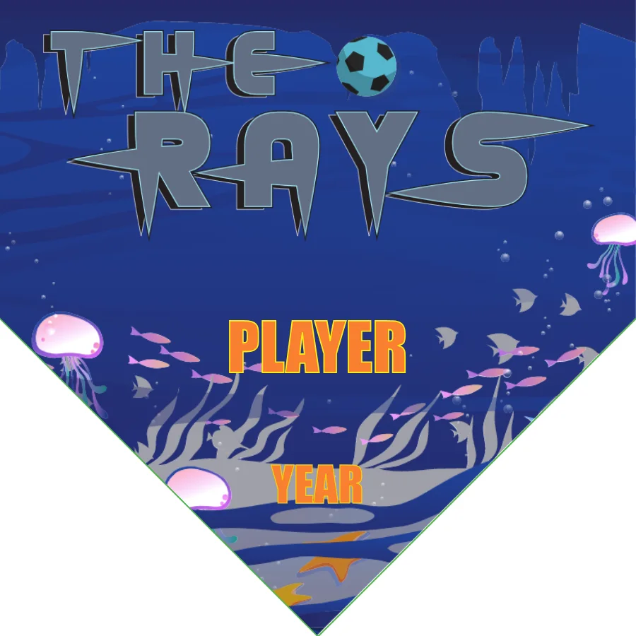 The rays Soccer Banner-soccer-team-banner-ideas-picture