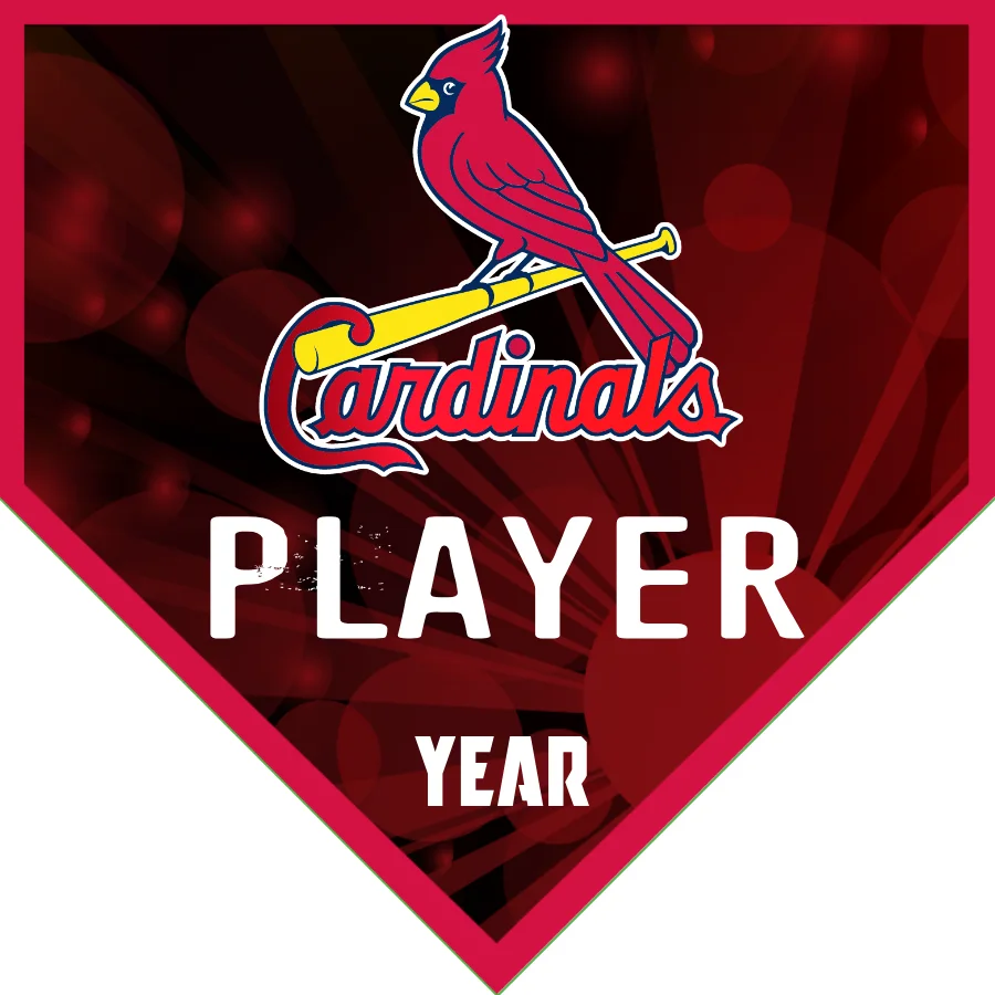 Cardinal Baseball Banner-it's-a-boy-baseball-banner-images