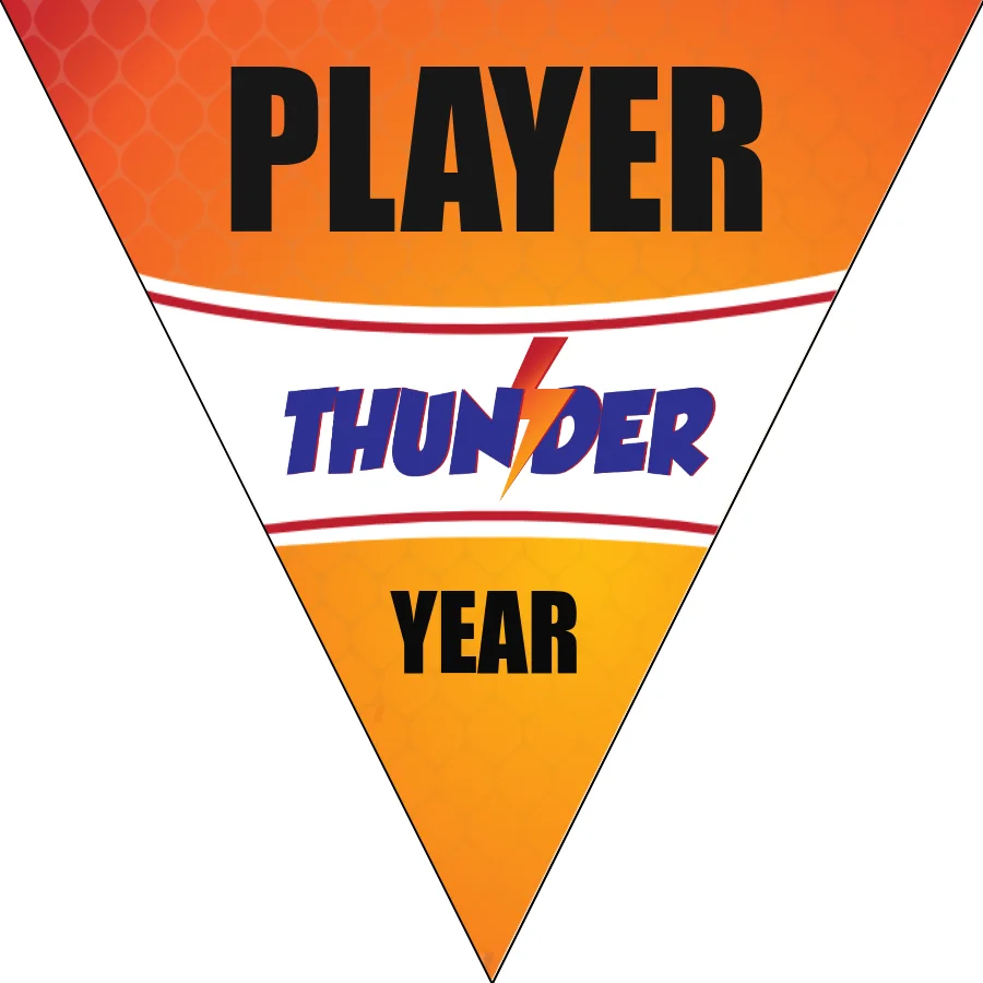 Thunder 2 Baseball Banner-diy-baseball-team-banner-images