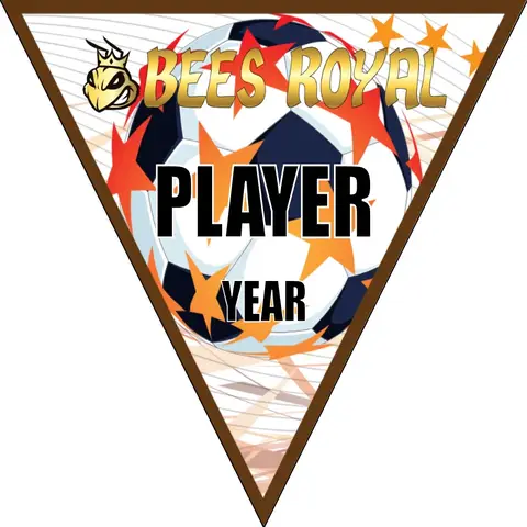 Bees Royal Soccer Banner-felt-soccer-banner-kit-picture