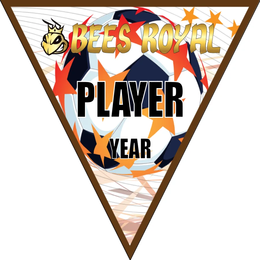 Bees Royal Soccer Banner-felt-soccer-banner-kit-picture