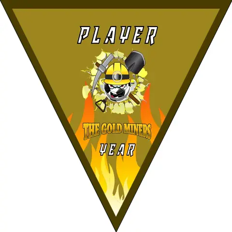 The Gold Miners Soccer Banner,-homemade-soccer-banner-ideas-picture