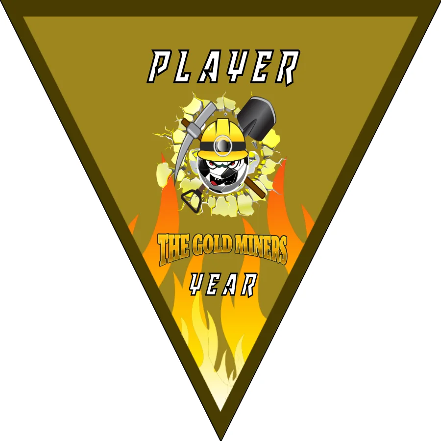 The Gold Miners Soccer Banner,-homemade-soccer-banner-ideas-picture