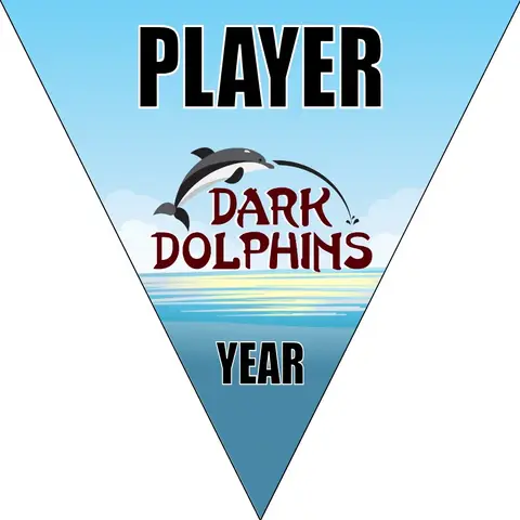 DarkDolphins Soccer Banner-soccer-breeze-banners-picture