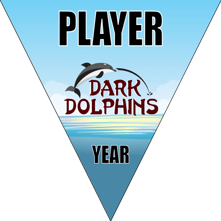 DarkDolphins Soccer Banner-soccer-breeze-banners-picture