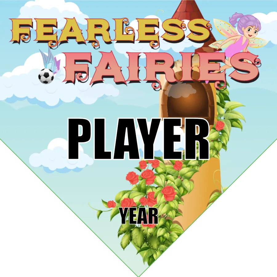 Fairies Fearless Soccer Banner-soccer-team-banners-ayso-picture