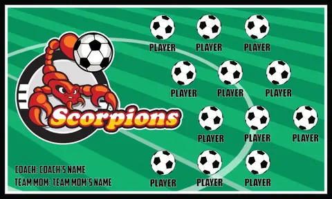 Scorpions Soccer Banner-soccer-banner-flags-picture