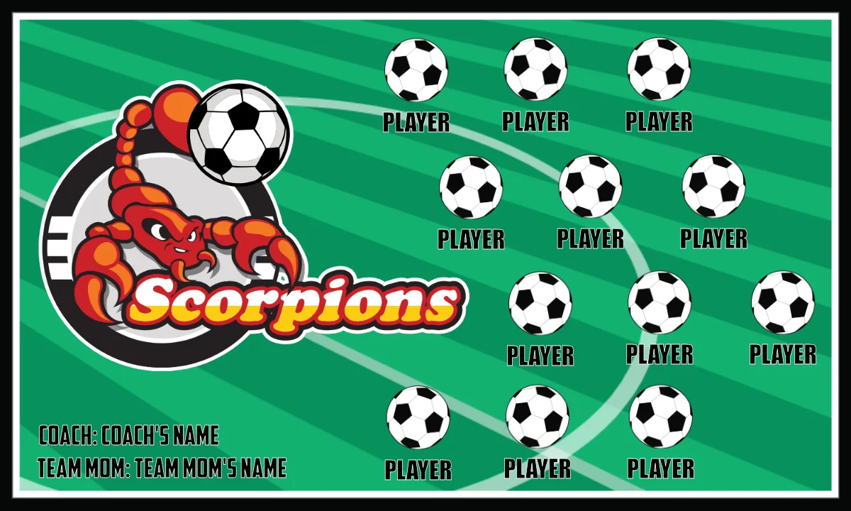 Scorpions Soccer Banner-soccer-banner-flags-picture
