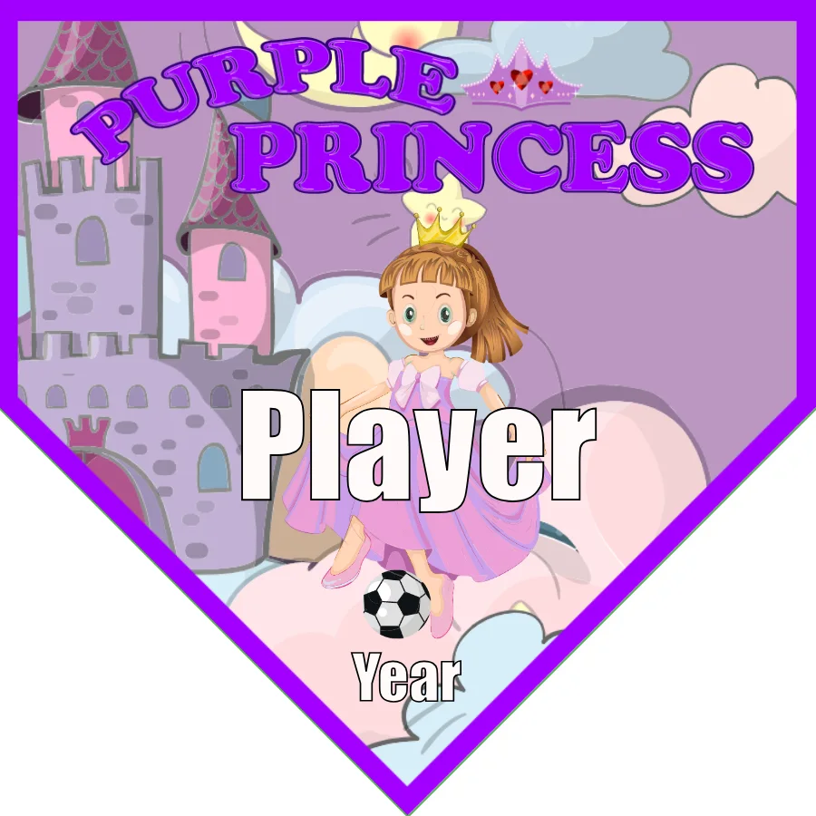 Princess Purple Soccer Banner-soccer-team-banner-ideas-picture