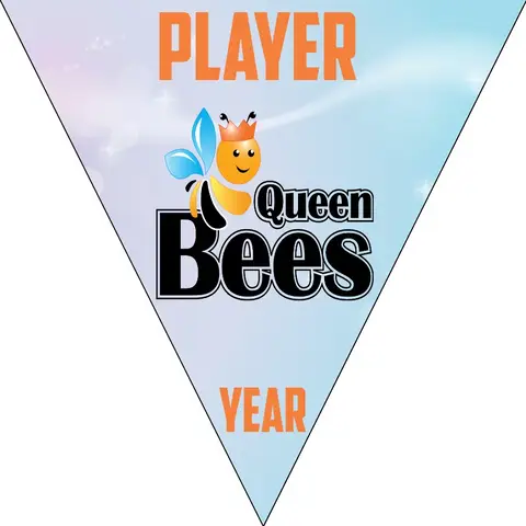 Queen Bees 1-orange-girl-triangle-custom-softball-team-banners-picture