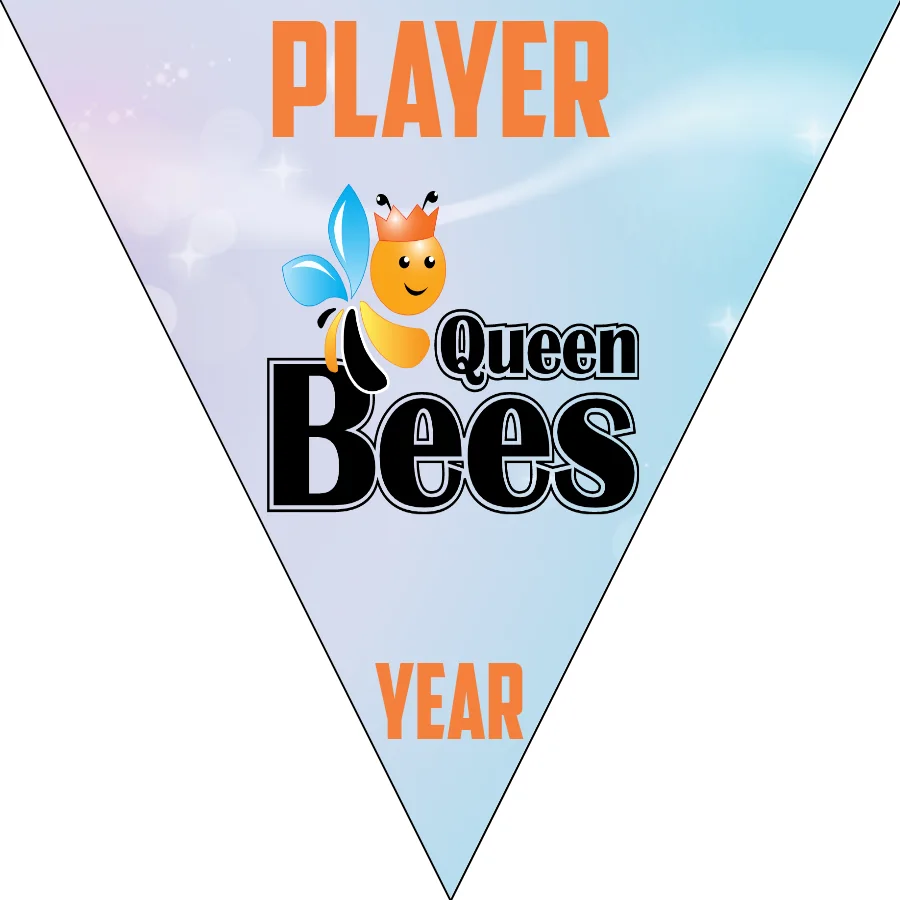 Queen Bees 1-orange-girl-triangle-custom-softball-team-banners-picture