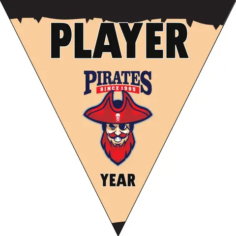 Pirates Softball Banner-making-a-softball-banner-picture