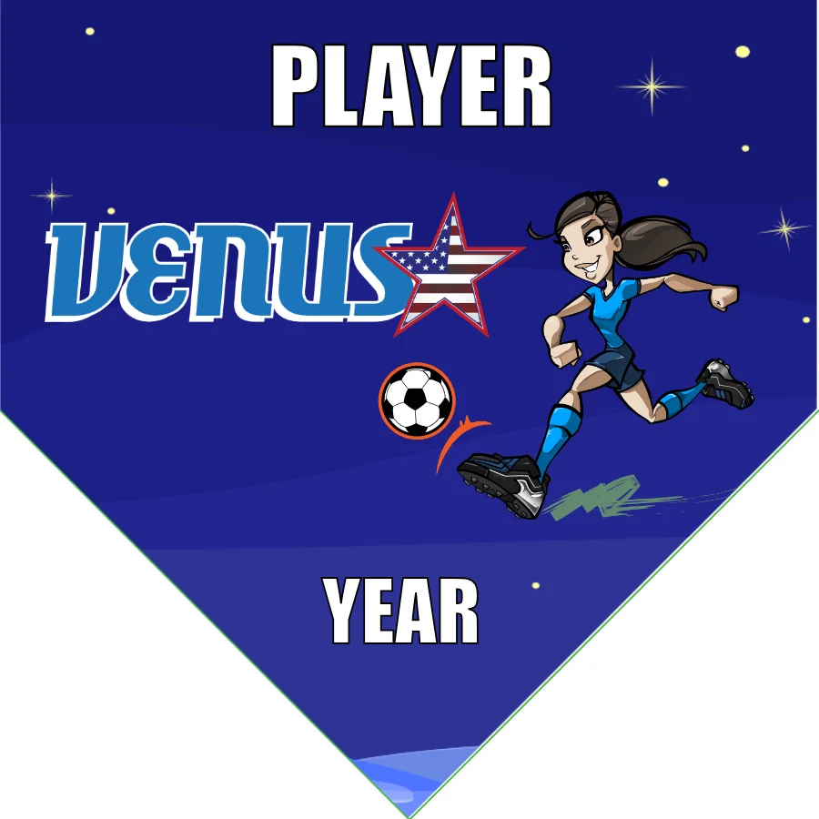 Venus Soccer Banner-soccer-banner-picture