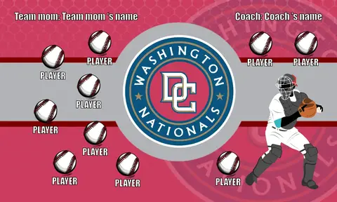 Nationals Baseball Banner-baseball-banners-riverside-images
