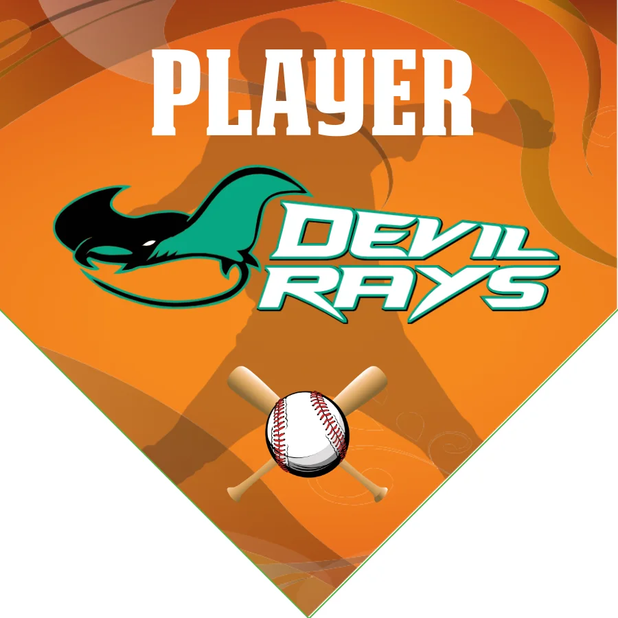 Devil Rays 1 Softball Banner-softball-team-banners-images