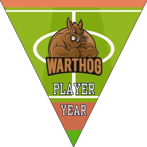 Warthog Soccer Banner,-soccer-party-banner-picture