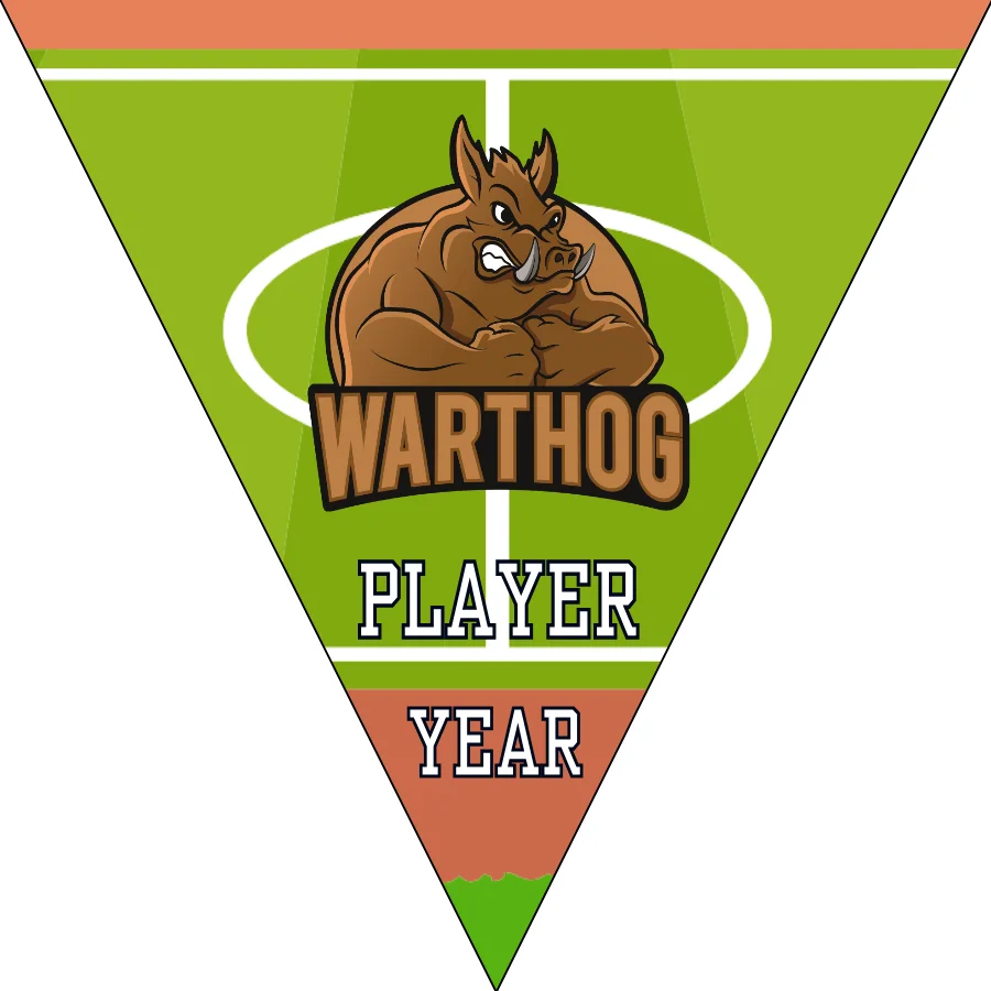 Warthog Soccer Banner,-soccer-party-banner-picture