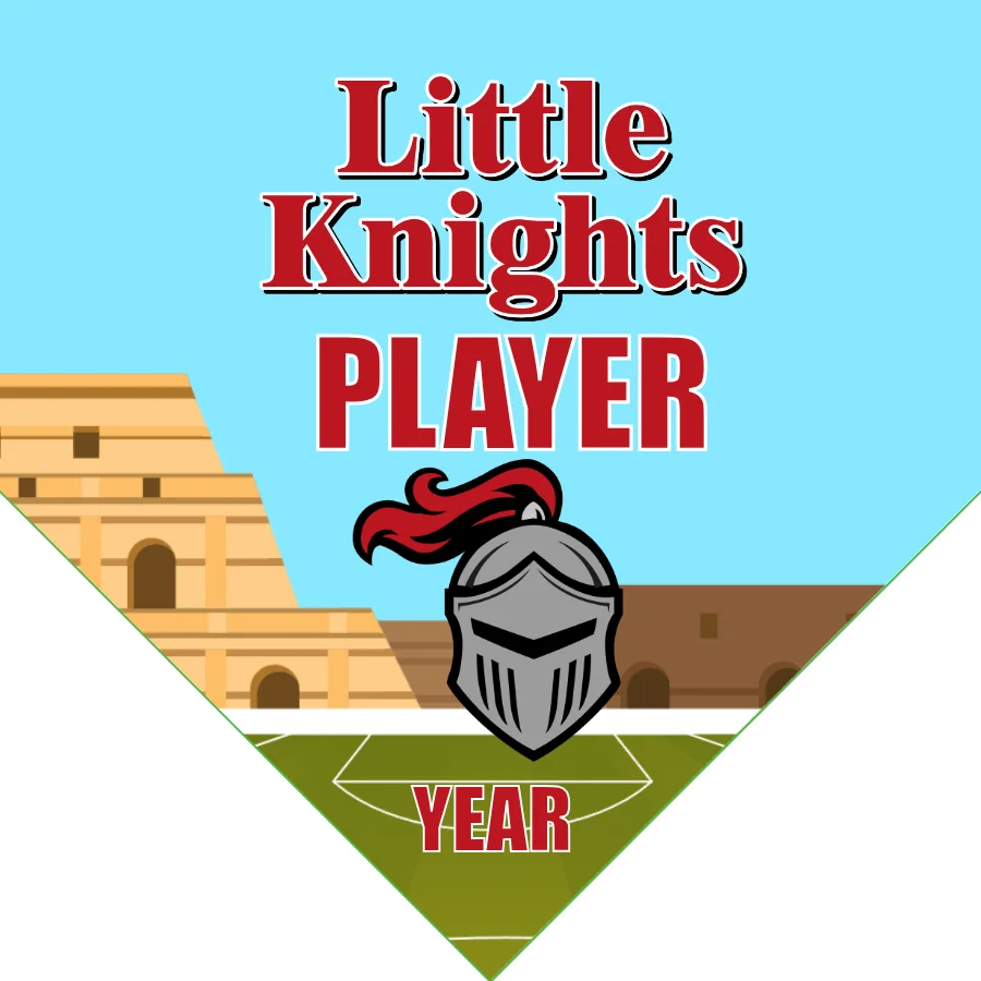 Little Knights Soccer Banner-soccer-team-banners-picture